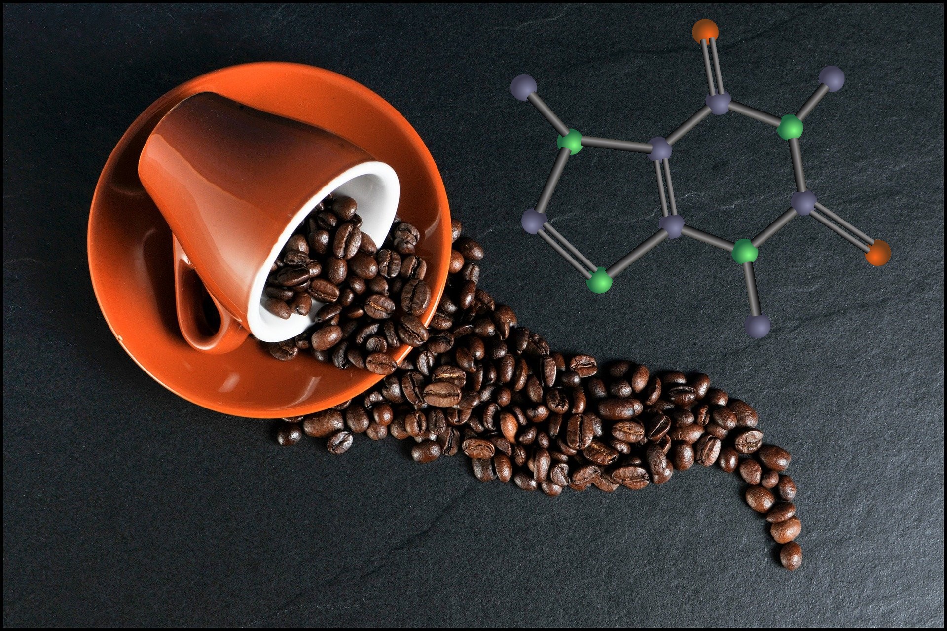 La cafeína y sus efectos en la estructura cerebral