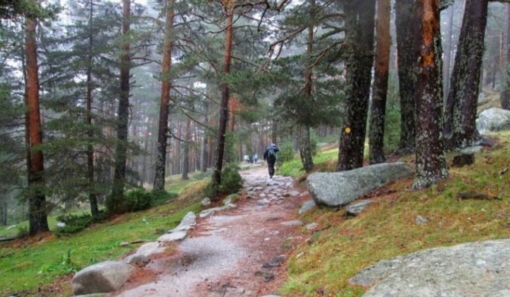 Rutas senderismo en Madrid que no pueden faltar en tu itinerario