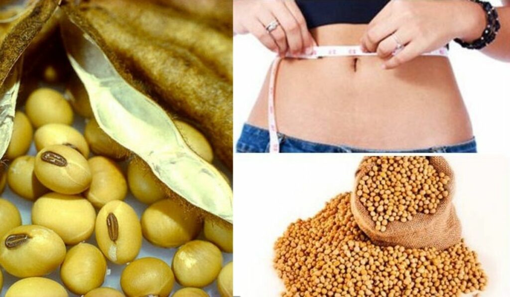 La lecitina Las bondades para adelgazar y perder masa corporal