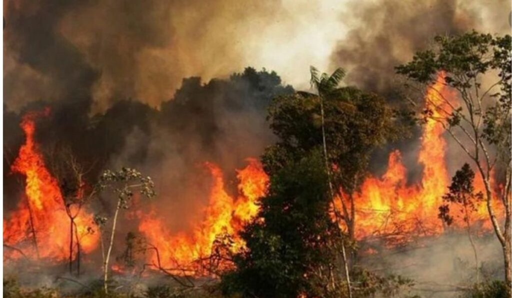 Vuelve la temporada de incendios en el Amazonas con la extrema sequia