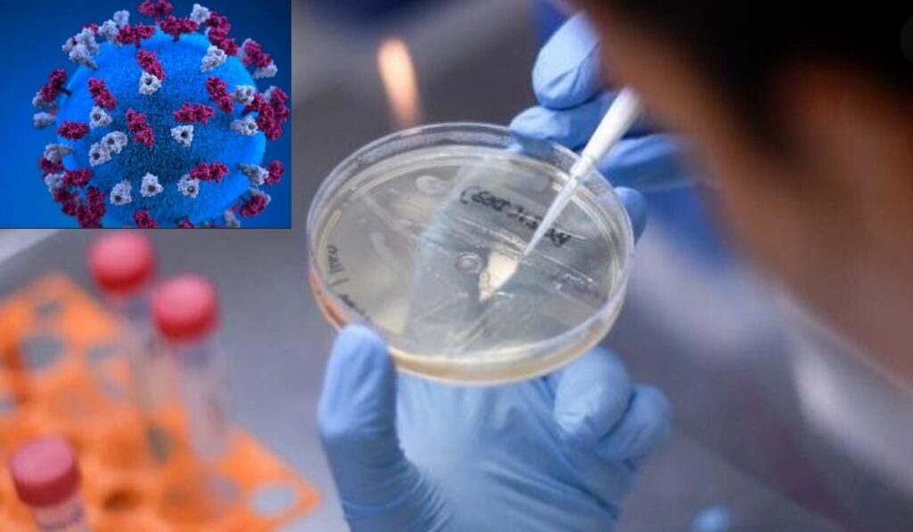 La nueva variante C.1.2 que descubrieron científicos es altamente mutante