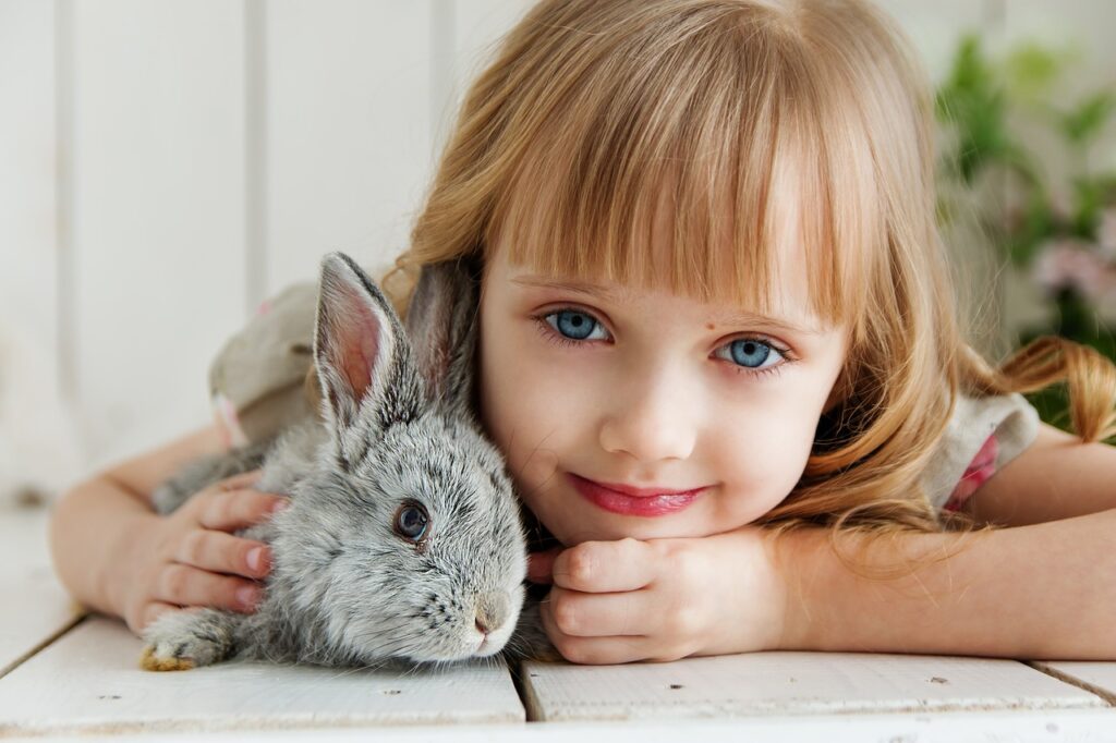 Aspectos esenciales para tener a un conejo doméstico