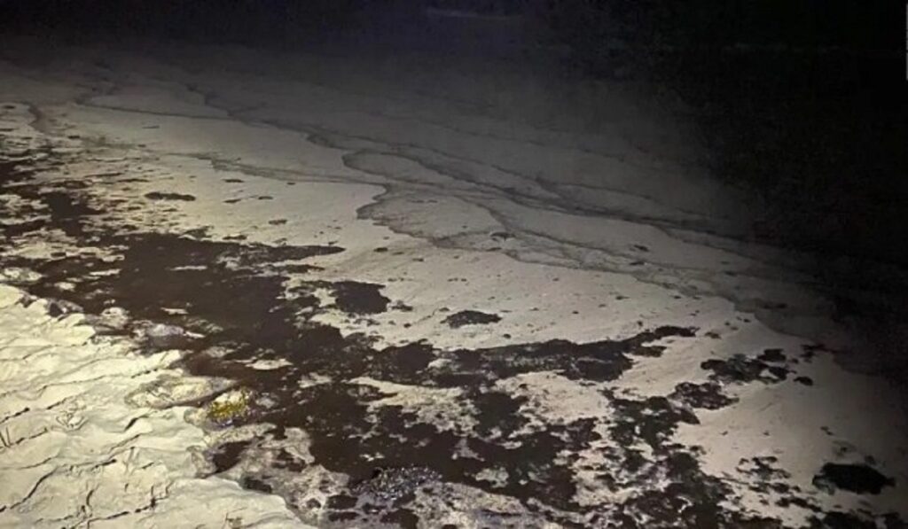 Derrame de petróleo en Costa de California provoco muertes de peces y aves