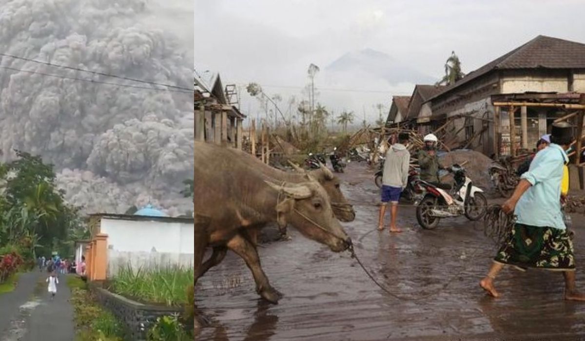 Erupción del volcán Semeru deja 13 muertos a su paso en Indonesia