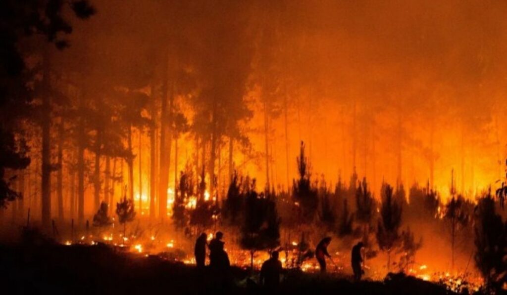 Incendios forestales arrasaron con mas de 26 mil hectáreas en Chile