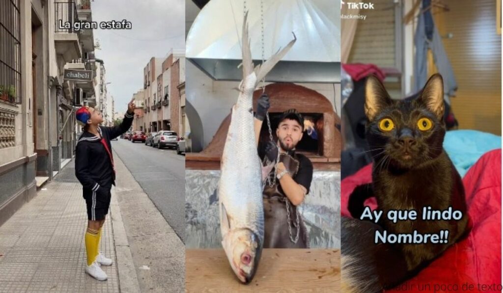 Como compartir videos libres de marca de agua de TikTok