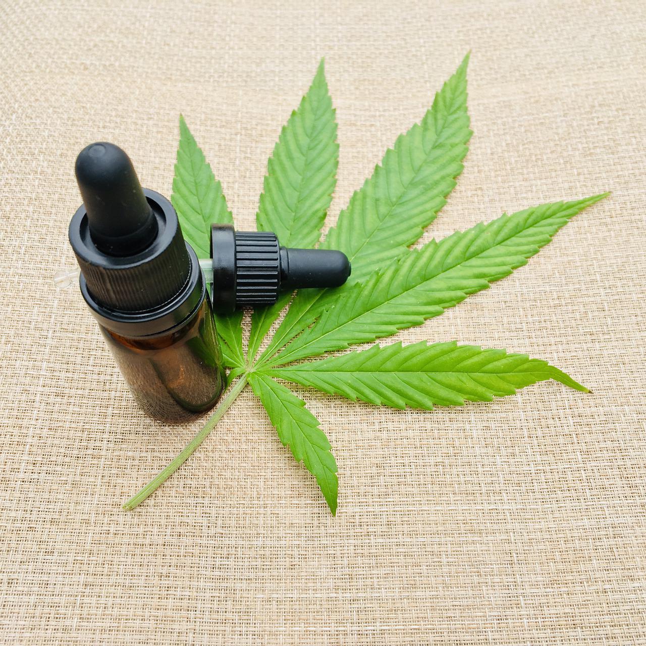 La subcomisión sobre cannabis medicinal dio luz verde a la propuesta que amplía su uso a otras patologías