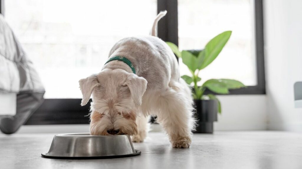 cupón de descuento de Naku