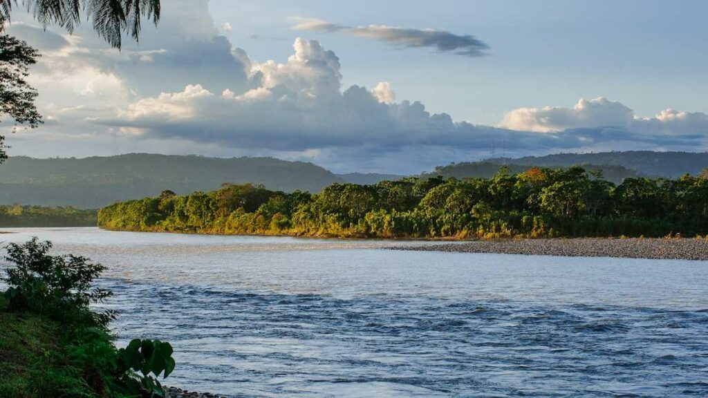 científicos hallaron dos nuevas especies, entre ellos un pequeño pez