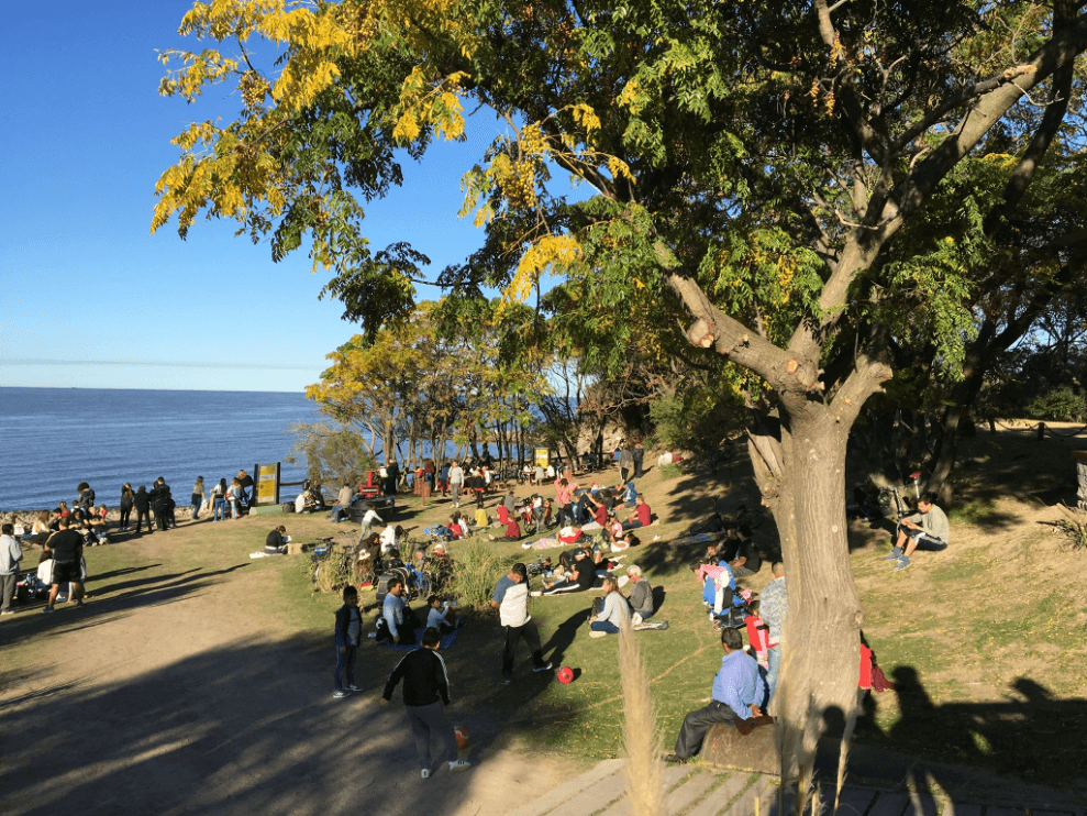 Reserva Ecológica Costanera Sur