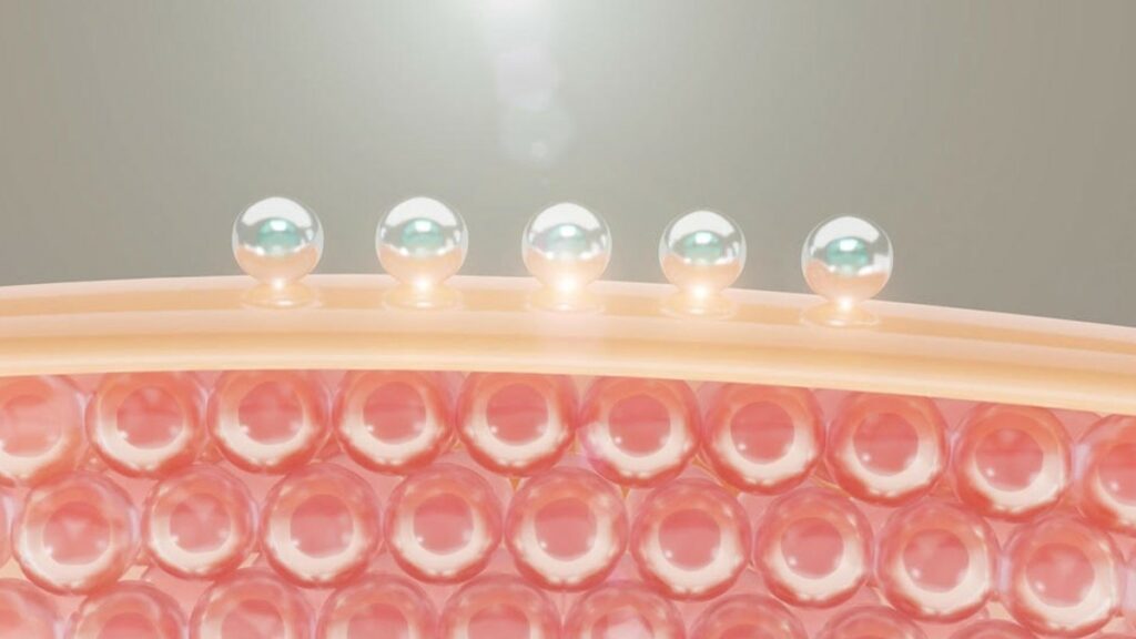 El colágeno es la proteína mayor que hay en nuestro organismo