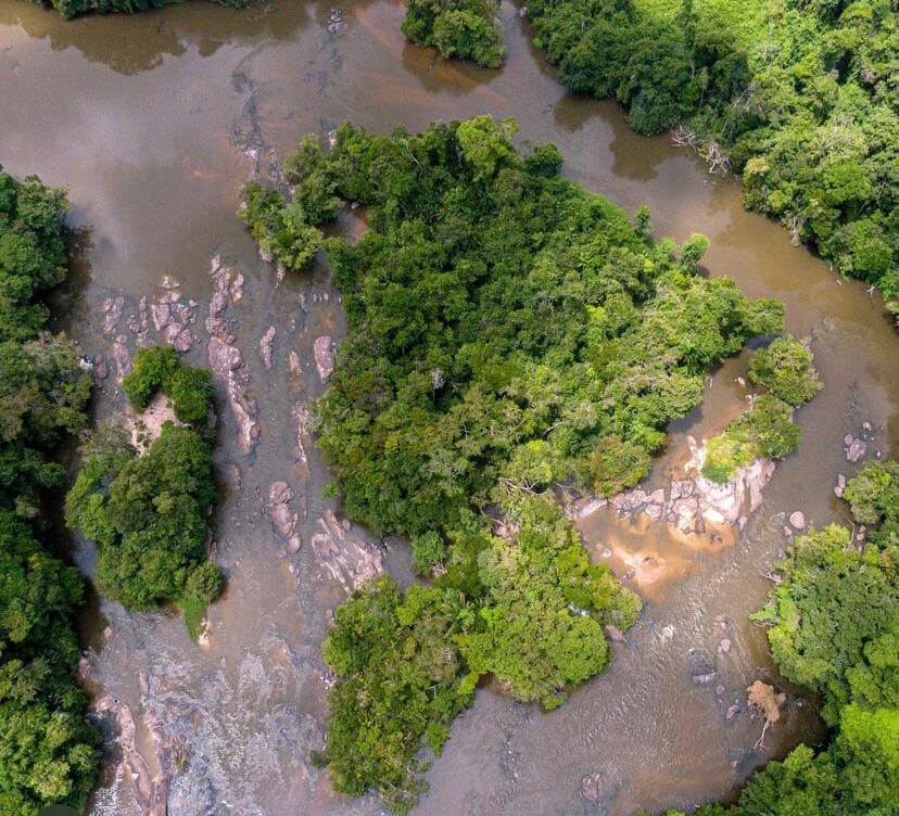Amazonia, una de las 7 maravillas naturales del mundo