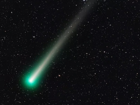 ¿Por qué es un cometa verde y qué es eso de la anticola?