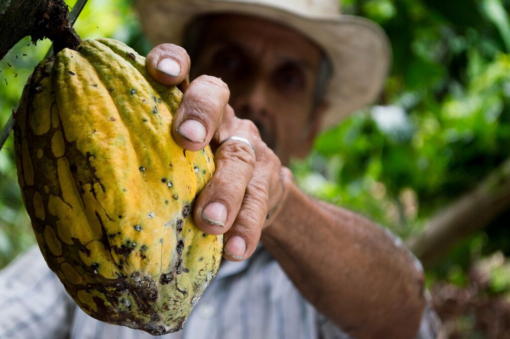 Alimentos en peligro de extinción