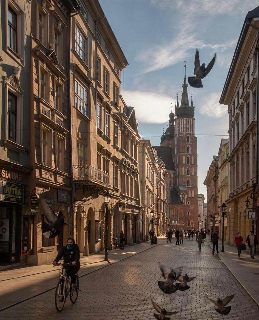 Qué hacer en Polonia: Cracovia