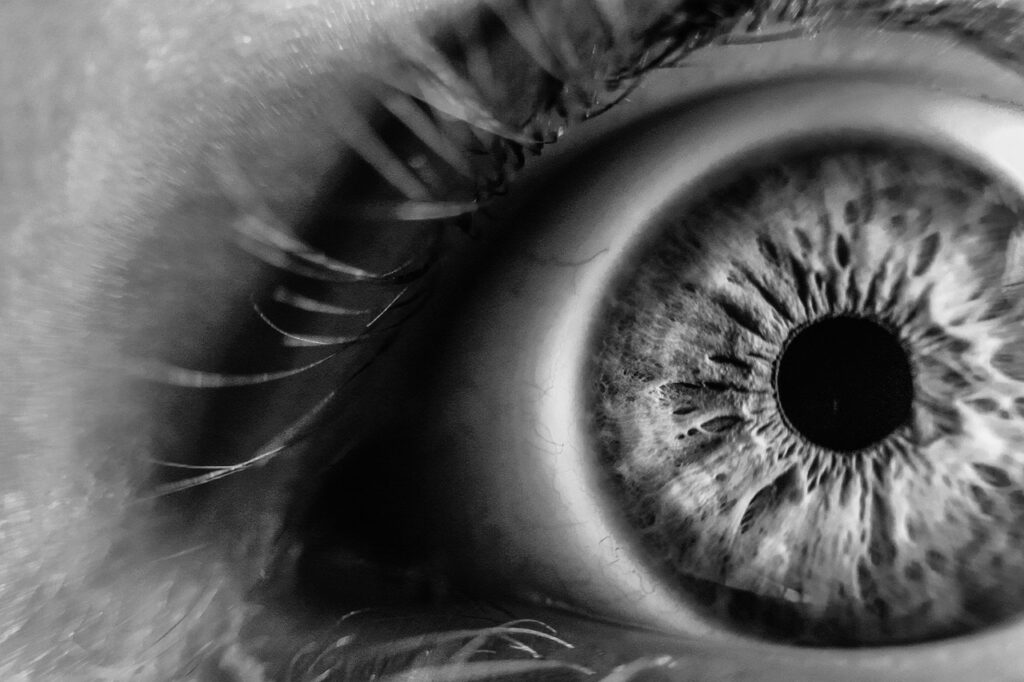 En la retina pueden detectarse las primeras señales de deterioro cognitivo leve