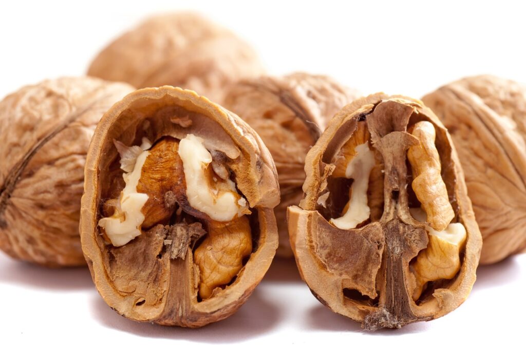 Comer nueces juega un papel fundamental en el desarrollo del cerebro
