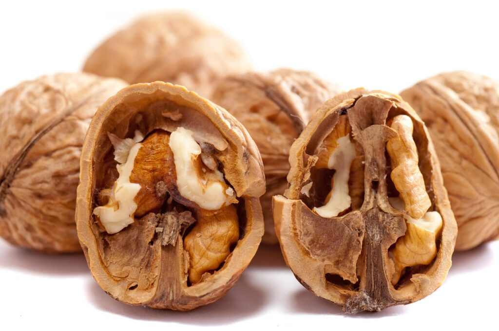 Comer nueces juega un papel fundamental en el desarrollo del cerebro
