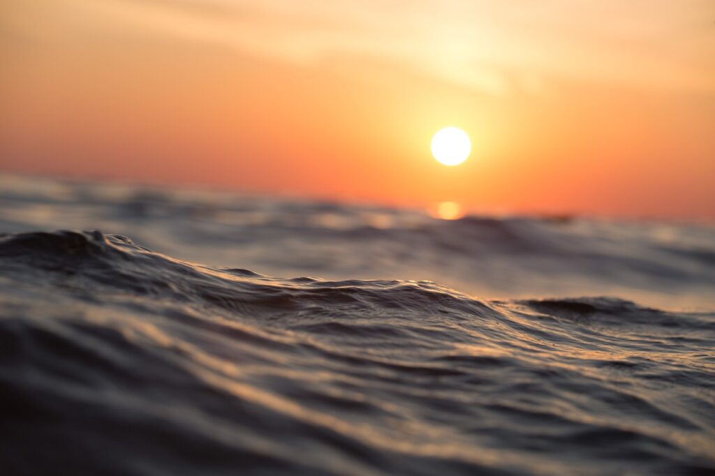 ¿En qué consiste el proceso de acidificación de los océanos?