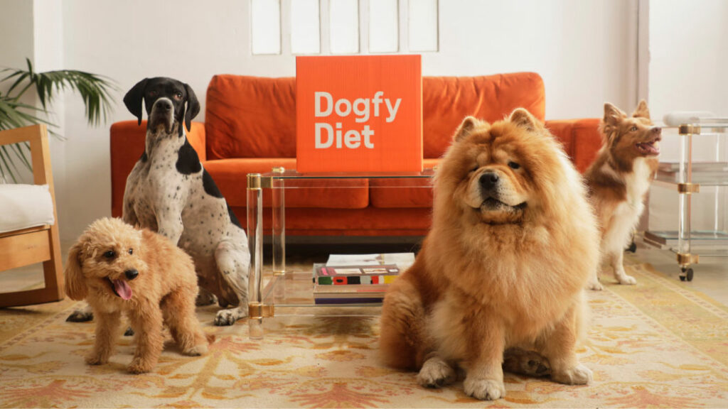Dogfy Diet