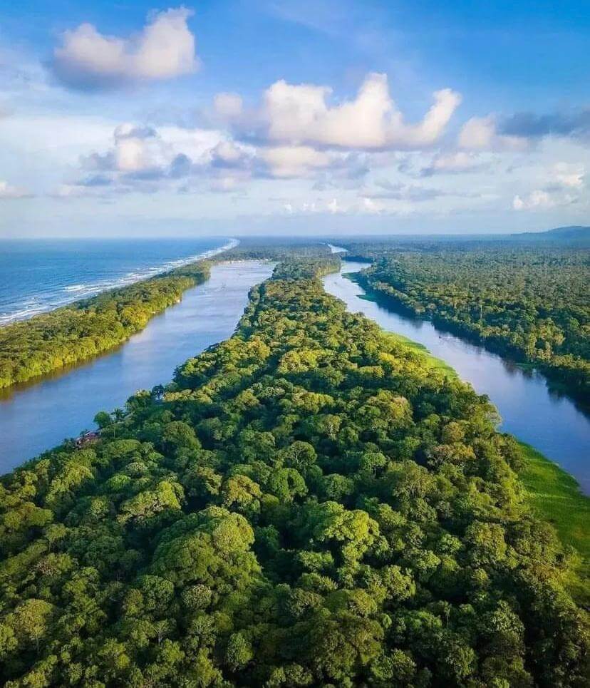 Canales naturales de Tortuguero