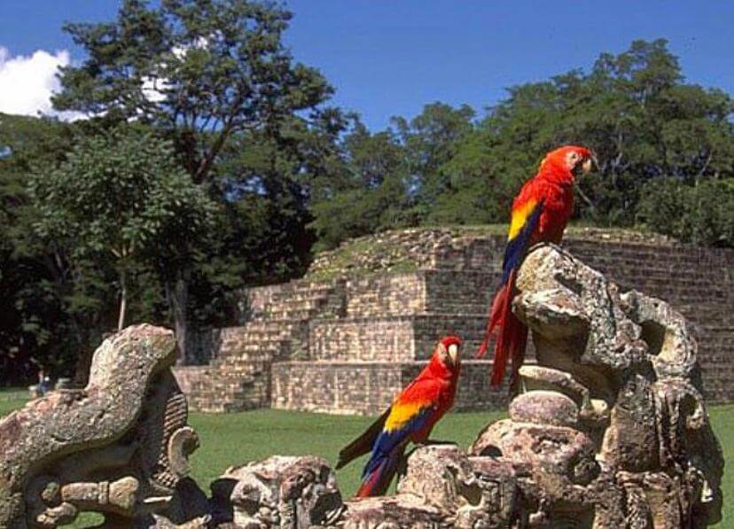 Maravillas de Centroamérica: las Ruinas de Copán