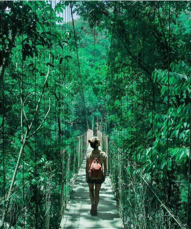 Parque Nacional Pico Bonito