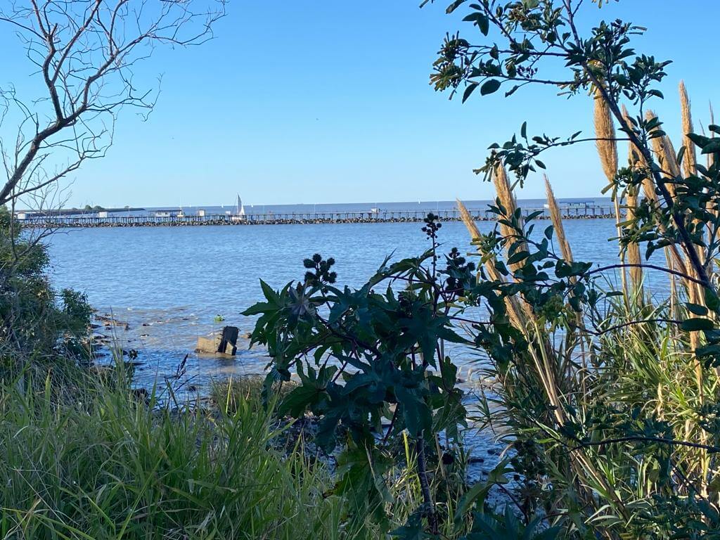 Vista del río de La Plata desde la Reserva Ecológica