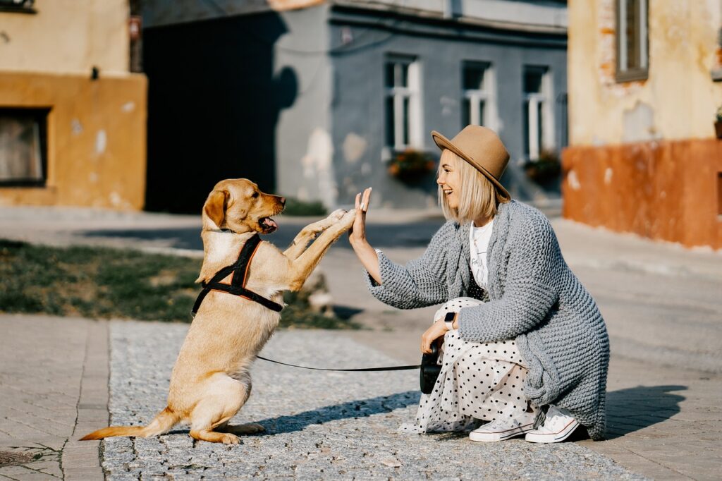 Estados positivos que se activan al interactuar con perros