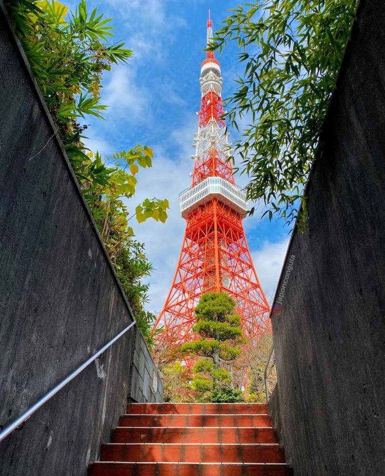 Descubriendo Tokio en 4 días: no te pierdas la Torre de Tokio