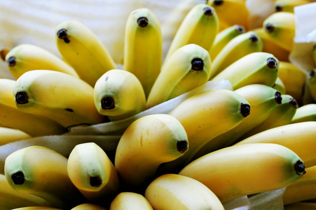 bananera Chiquita