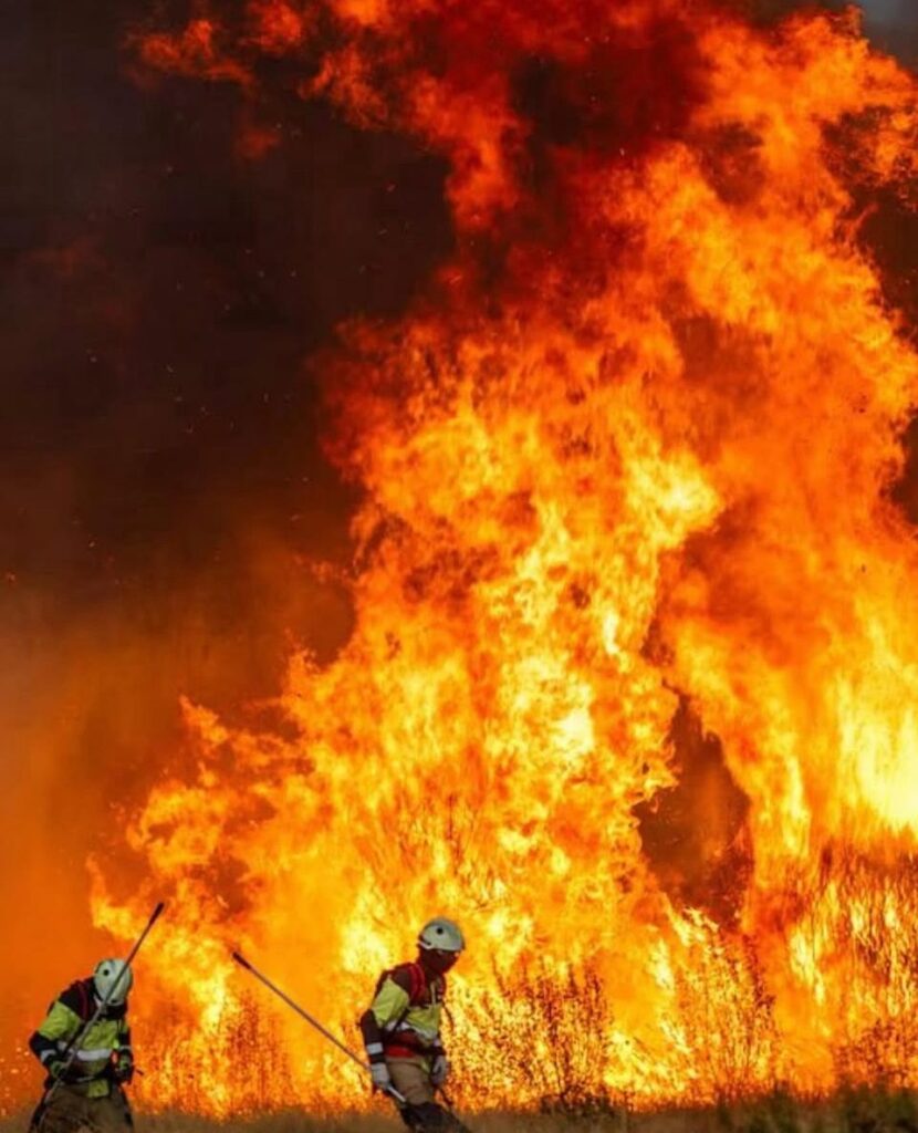 Incendios forestales en España: cinco muertos