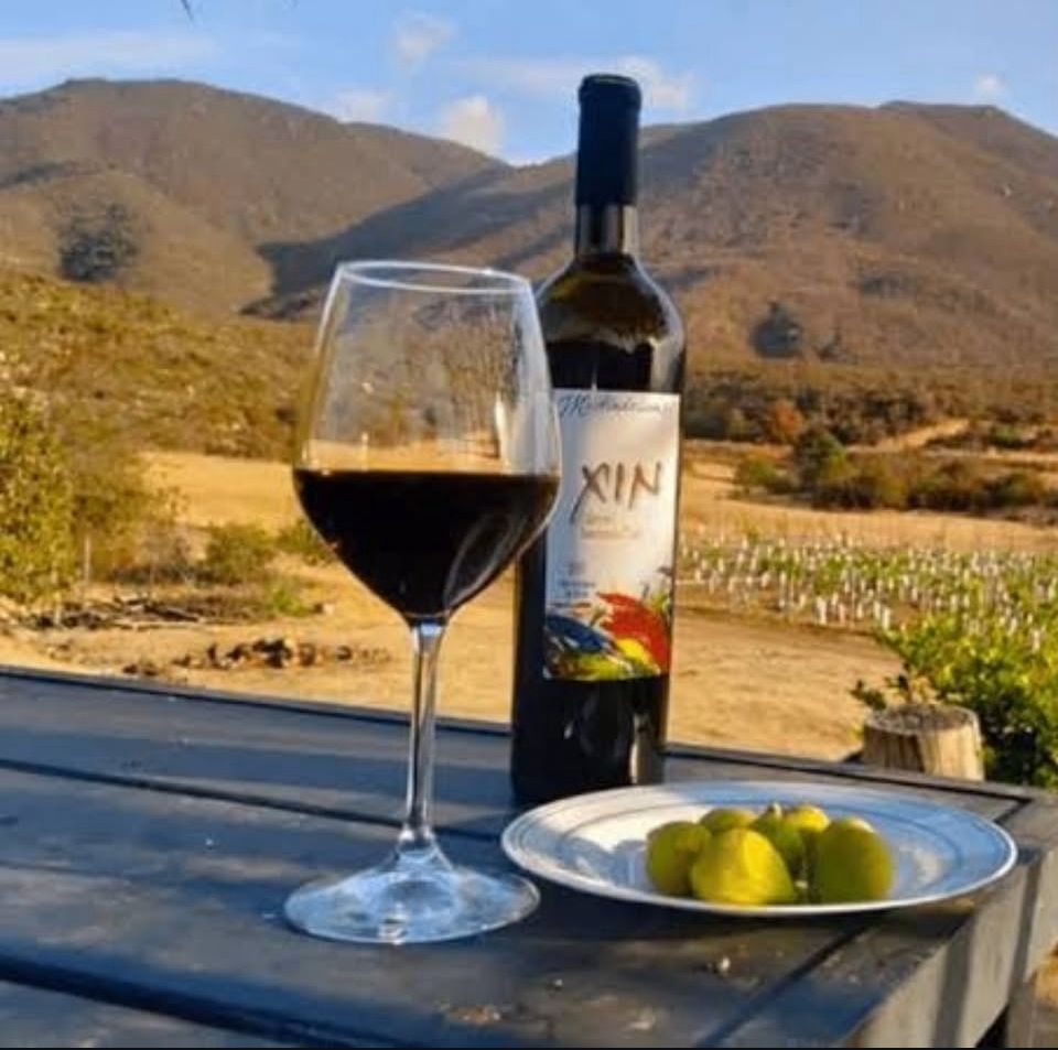 Rutas del vino en México: Valle de Guadalupe