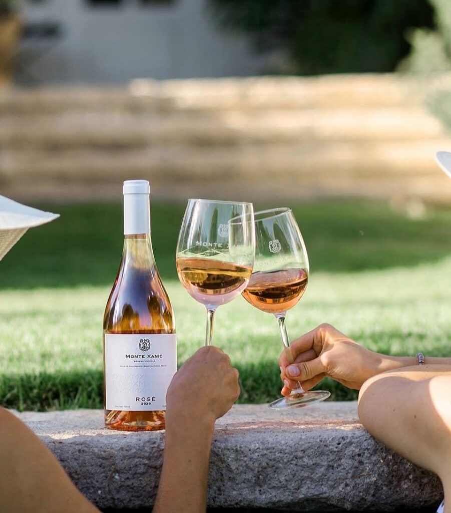 4 Rutas del vino en México