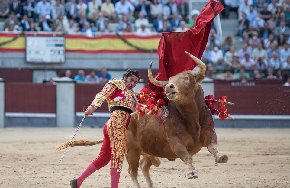 La tauromaquia divide a la izquierda española.