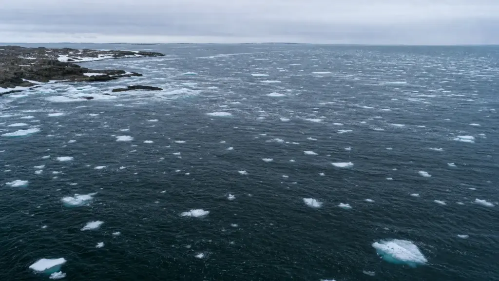 villa de pitanxo: vista aérea del Atlántico Norte helado frente a la costa de Terranova